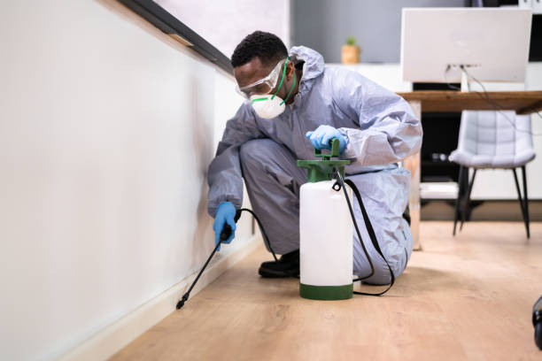 Best Indoor Pest Control  in Moss Bluff, LA